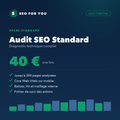 Audit SEO Standard — diagnostic technique complet