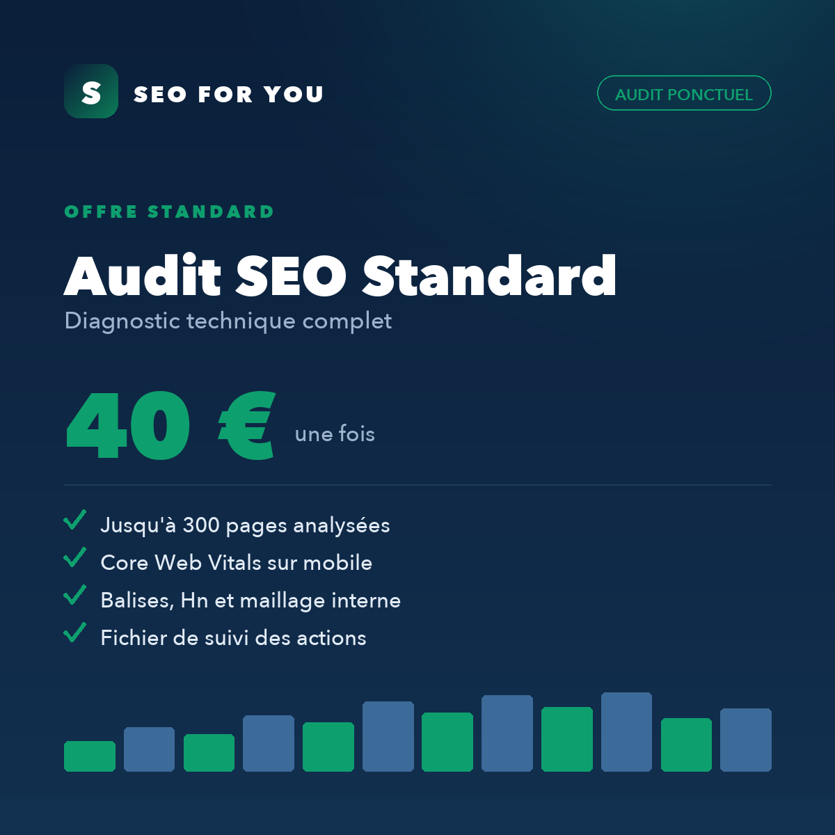 Audit SEO Standard — diagnostic technique complet