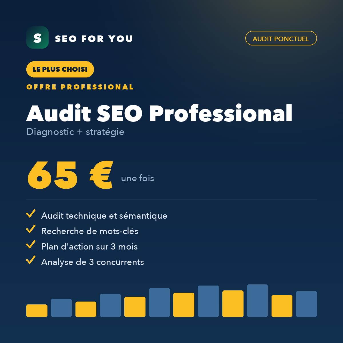 Audit SEO Professional — diagnostic + stratégie
