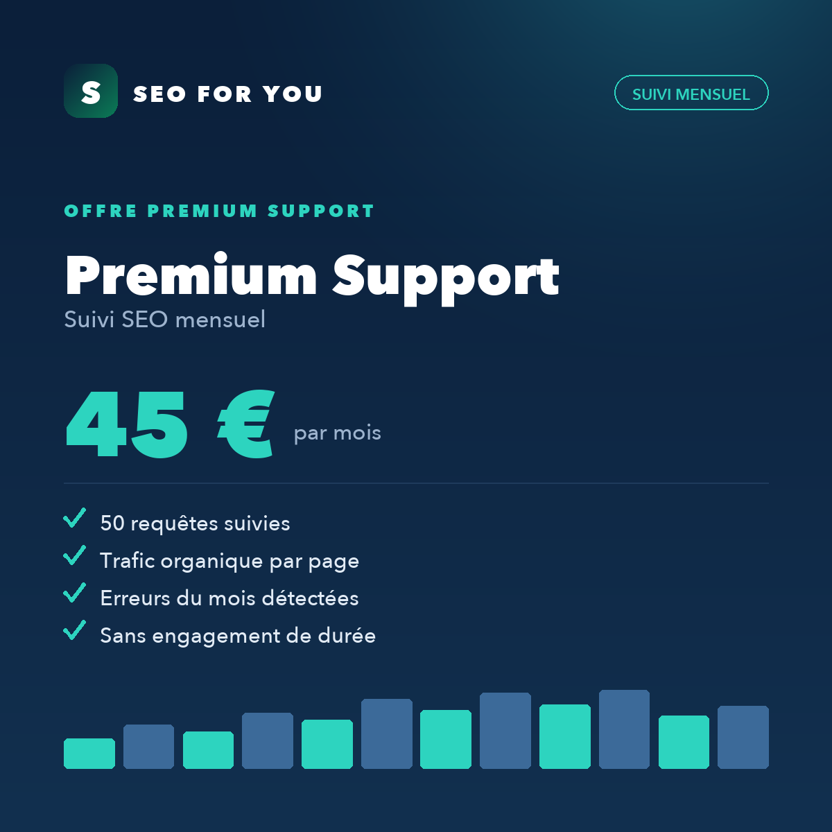 Premium Support — suivi SEO mensuel